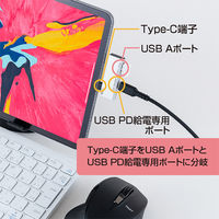 ナカバヤシ TypeーC ホストアダプタ PD対応 シルバー SAD-CH06PSL 1個