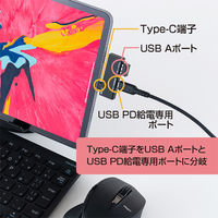 ナカバヤシ TypeーC ホストアダプタ PD対応 ブラック SAD-CH06PBK 1個