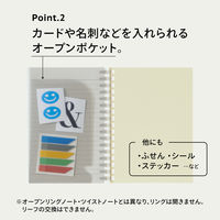 リヒトラブ ソフィーチェノート A6 スレートブルー リーフ30枚 N3201-11 1冊