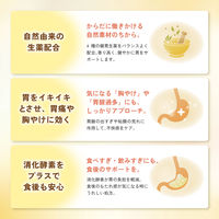 パンシロンG 48包 ロート製薬 胸やけ 胃痛 胃酸過多 飲みすぎ【第2類医薬品】