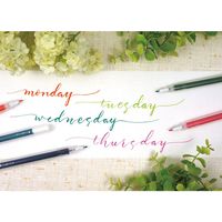 呉竹 からっぽペン ほそふで芯 硬筆・極細タイプ 5本入 ECF160-452 1パック