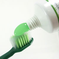 歯磨き粉 生葉（しょうよう） 無研磨タイプ 歯槽膿漏を防ぐ 薬用ハミガキ ハーブミント味 95g 小林製薬