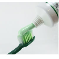 生葉（しょうよう） 歯槽膿漏を防ぐ 薬用ハミガキ ハーブミント味 100ｇ 小林製薬 歯磨き粉