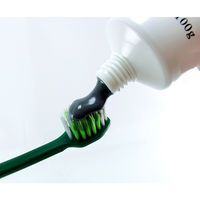 歯磨き粉 ホワイトニング スミガキ 炭配合（清掃剤） フルーティクリアミントの香り 100g 小林製薬