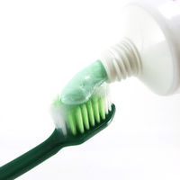 歯磨き粉 生葉（しょうよう） 知覚過敏症状予防タイプ 歯槽膿漏を防ぐ 薬用ハミガキ ハーブミント味 100g 小林製薬