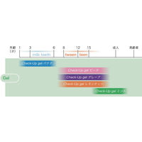 歯科医院取扱品 歯磨き粉 DENT. チェックアップジェル ピーチ 子供用（6歳～）フッ素配合 60g 1本 ライオン