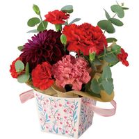 ヘッズ シャルムコレクションPPバスケット-2/クリーム CHM-PBM2 1セット(50枚:10枚×5パック)（直送品）