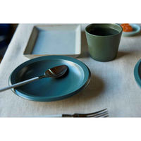 丸利玉樹利喜蔵商店 プレート 16cm M AirStack エアスタック 磁器 美濃焼 ネイビー 423210 1個（直送品）