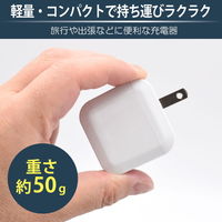 日本トラストテクノロジー CUBE USB充電器 2P 12W ホワイト CUBEUSB2P12W-WH 1個