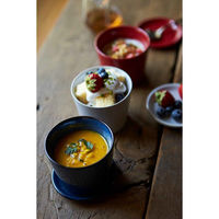 丸利玉樹利喜蔵商店 そば猪口 190ml HINATA 陶器 ネイビー 426045 1個（直送品）