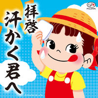 伊藤園 不二家 南国フルーツスカッシュ 500ml ペットボトル 1箱（24本入）