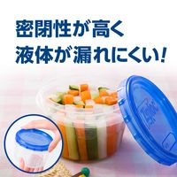 数量限定 ジップロック スクリューロック 食品保存容器 ディズニー バンビ 300ml＆730ml 各1個入 2個セット