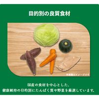 ペットの恵み365 カラダのスープ さらっとチキン 国産 50g 1セット（1袋×3）新東亜交易 ドッグフード