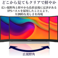 YAMAZEN モバイルモニター 15.6インチ FHD IPSパネル 保護カバー兼用スタンド付 QMMP-156 1台