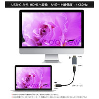 Vodaview USBーC to HDMI変換アダプタ4K60Hz 2mケーブル付 VV-UCFHDM-CC020 1式