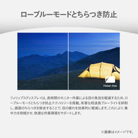 PHILIPS 液晶ディスプレイ 27インチ/2560×1440 27E2N2500/11 1台（直送品）