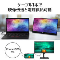 Verbatim Japan TypeーC to C USB3.2 Gen2x2ケーブル 高耐久 CB100KCCZV2 1個