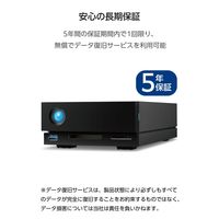 LaCie 外付け HDD 24TB 1big Dock Thunderbolt 3  STHS24000800 ラシー 1個（直送品）