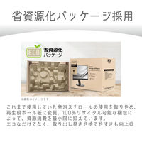 PHILIPS 液晶ディスプレイ 21.5型/1920×1080 222S1AE/11 1台