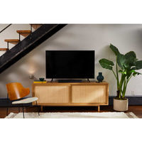 ボーズ Bose TV Speaker 1台