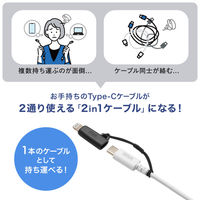 サンワサプライ USB TypeーC to Lightning変換アダプタ(MFi認証) AD-USB30LCFBK 1個