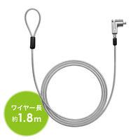 サンワサプライ Surface用セキュリティワイヤー(シリンダー錠タイプ) SLE-50SSFPG 1個