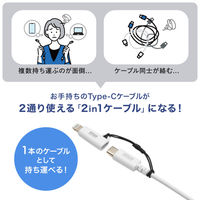 サンワサプライ USB TypeーC to Lightning変換アダプタ(MFi認証) AD-USB30LCFW 1個