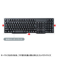 サンワサプライ ワイヤレスキーボード(2.4GHzワイヤレス) SKB-WL40BK 1個