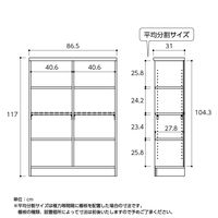 大洋 Shelfit バリュープライスカラーラック 幅865×奥行310×高さ1170mm ライトナチュラル NC1290 (LN) 1台（直送品）