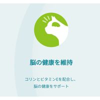（数量限定） ピュリナワン 猫 水分補給セット 健康寿命 7歳以上 チキン 50g 12袋 ＋ おやつ免疫ケア 14g 4本 1袋 ネスレ日本