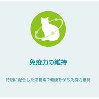 （数量限定） ピュリナワン 猫 水分補給セット 健康寿命 7歳以上 チキン 50g 12袋 ＋ おやつ免疫ケア 14g 4本 3袋 ネスレ日本