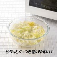 耐熱ラップ 22cm×20m 食品ラップ 日本製 1セット（1本×30）宇部フィルム