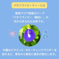 伊藤園 バタフライピーティー 500ml 1セット（48本）