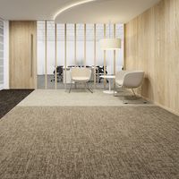 スミノエ 業務用タイルカーペット ECOS LX-2500 500×500mm LX-2505 1セット(20枚入)（直送品）