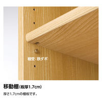 大洋 Shelfit エースラック 扉付き 両開き 幅600×奥行460×高さ700mm AR7060D(NA)＋Nトビラ 1台（直送品）