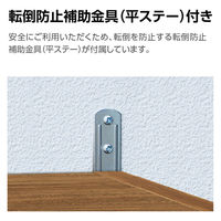 大洋 Shelfit カラーラックタフ 幅900×奥行250×高さ881mm アイボリーホワイト NCタフ9090SR(WH) 1台（直送品）