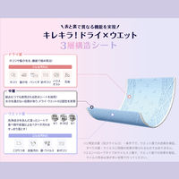 エリエール キレキラ！ ワイパー ドライ×ウェットシート 1パック（32枚入） 大王製紙