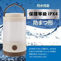 オーム電機 LEDミニランタン B260W LNPB260W 1個