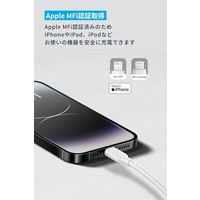 アンカー・ジャパン株式会社 Anker ライトニングケーブル (Flow) 1.8m A85A1N22 1本