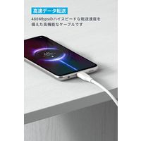 アンカー・ジャパン株式会社 Anker USBーC & USBーA ケーブル (Flow) 0.9m A85G1N21 1本