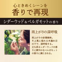 レノア オードリュクス シダーウッド&ベルガモットハーブ 詰め替え 特大 680mL 1個 柔軟剤 P＆G