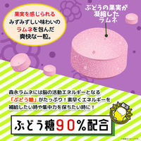 ラムネ 食べきりサイズ 大粒ラムネ　濃い果実　ぶどう　27g 1セット（1個×20）