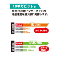 LANケーブル 延長コネクタ Cat6A 10Gbps対応 RJ45 STP シルバー LD-RJ45S6ASV エレコム 1個（直送品）
