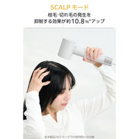 理美容器具 ハンドドライヤー マイナスイオン ディフューザー付 ベージュTD863A-C テスコム 1個（直送品）