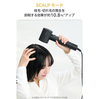 理美容器具 ハンドドライヤー マイナスイオン ディフューザー付 ブラック TD863A-K テスコム 1個（直送品）