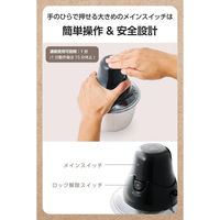 回転器具 フードプロセッサー ステンレスボトル ブラック TFP25A-K テスコム 1個（直送品）