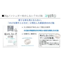 のど飴 キャンディ 飴 ノンシュガー　味のしない？　のど飴　35g 1セット（1個×12）