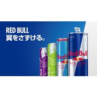 レッドブル・エナジードリンク マスカットエディション 250ml  1セット（48缶）