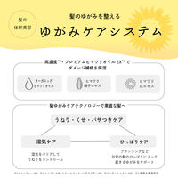 ディアボーテ ひまわり ブルームドール モイスチャーフィル ヘアマスク 200g クラシエ