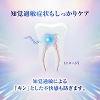 シュミテクト フューチャーホワイトケア マイルドミント 80g 〈1450ppm〉 Haleonジャパン 歯磨き粉